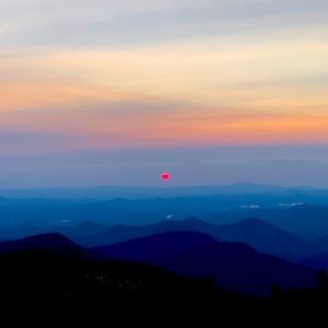 Meet your Posher, Carolina